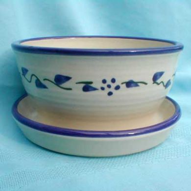 8" Dish Garden/Blue Leaf