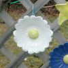 Sm. Fence Flower/White Dasiy